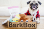 ペット用品でのサブスクリプション成功事例！BarkBoxの秘密に迫る！